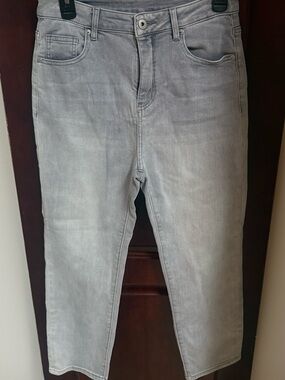 YSZ Gray Skinny Jeans Women’s Size 29 Mid Rise Stretch Denim
